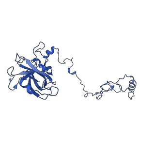 0232_6hiy_DN_v1-2
Cryo-EM structure of the Trypanosoma brucei mitochondrial ribosome - This entry contains the body of the small mitoribosomal subunit in complex with mt-IF-3