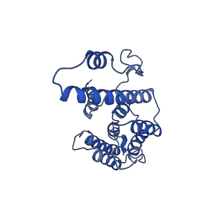 0232_6hiy_DO_v1-2
Cryo-EM structure of the Trypanosoma brucei mitochondrial ribosome - This entry contains the body of the small mitoribosomal subunit in complex with mt-IF-3