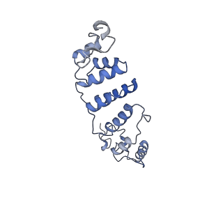 0232_6hiy_DP_v1-2
Cryo-EM structure of the Trypanosoma brucei mitochondrial ribosome - This entry contains the body of the small mitoribosomal subunit in complex with mt-IF-3