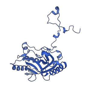 0232_6hiy_DQ_v1-2
Cryo-EM structure of the Trypanosoma brucei mitochondrial ribosome - This entry contains the body of the small mitoribosomal subunit in complex with mt-IF-3
