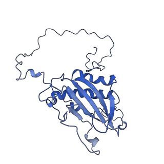 0232_6hiy_DR_v1-2
Cryo-EM structure of the Trypanosoma brucei mitochondrial ribosome - This entry contains the body of the small mitoribosomal subunit in complex with mt-IF-3