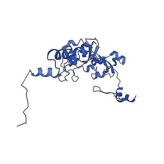 0232_6hiy_DS_v1-2
Cryo-EM structure of the Trypanosoma brucei mitochondrial ribosome - This entry contains the body of the small mitoribosomal subunit in complex with mt-IF-3