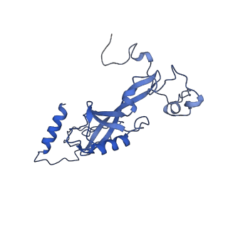 0232_6hiy_DU_v1-2
Cryo-EM structure of the Trypanosoma brucei mitochondrial ribosome - This entry contains the body of the small mitoribosomal subunit in complex with mt-IF-3