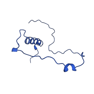 0232_6hiy_DZ_v1-2
Cryo-EM structure of the Trypanosoma brucei mitochondrial ribosome - This entry contains the body of the small mitoribosomal subunit in complex with mt-IF-3