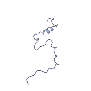 0232_6hiy_Da_v1-2
Cryo-EM structure of the Trypanosoma brucei mitochondrial ribosome - This entry contains the body of the small mitoribosomal subunit in complex with mt-IF-3
