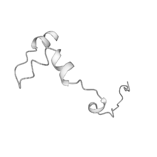 0232_6hiy_US_v1-2
Cryo-EM structure of the Trypanosoma brucei mitochondrial ribosome - This entry contains the body of the small mitoribosomal subunit in complex with mt-IF-3