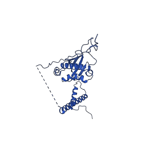 0233_6hiz_CI_v1-1
Cryo-EM structure of the Trypanosoma brucei mitochondrial ribosome - This entry contains the head of the small mitoribosomal subunit