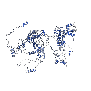 0233_6hiz_CJ_v1-1
Cryo-EM structure of the Trypanosoma brucei mitochondrial ribosome - This entry contains the head of the small mitoribosomal subunit