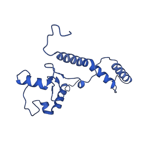 0233_6hiz_CN_v1-1
Cryo-EM structure of the Trypanosoma brucei mitochondrial ribosome - This entry contains the head of the small mitoribosomal subunit