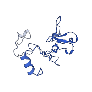 0233_6hiz_CS_v1-1
Cryo-EM structure of the Trypanosoma brucei mitochondrial ribosome - This entry contains the head of the small mitoribosomal subunit