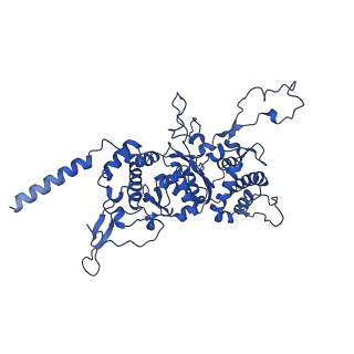 0233_6hiz_Cg_v1-1
Cryo-EM structure of the Trypanosoma brucei mitochondrial ribosome - This entry contains the head of the small mitoribosomal subunit