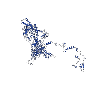 0233_6hiz_DB_v1-1
Cryo-EM structure of the Trypanosoma brucei mitochondrial ribosome - This entry contains the head of the small mitoribosomal subunit