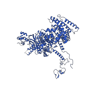 0233_6hiz_DC_v1-1
Cryo-EM structure of the Trypanosoma brucei mitochondrial ribosome - This entry contains the head of the small mitoribosomal subunit