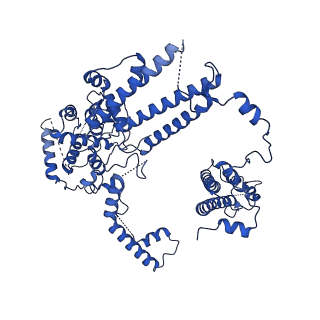 0233_6hiz_DE_v1-1
Cryo-EM structure of the Trypanosoma brucei mitochondrial ribosome - This entry contains the head of the small mitoribosomal subunit