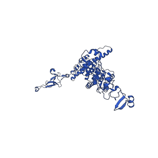 0233_6hiz_DF_v1-1
Cryo-EM structure of the Trypanosoma brucei mitochondrial ribosome - This entry contains the head of the small mitoribosomal subunit