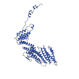 0233_6hiz_DG_v1-1
Cryo-EM structure of the Trypanosoma brucei mitochondrial ribosome - This entry contains the head of the small mitoribosomal subunit