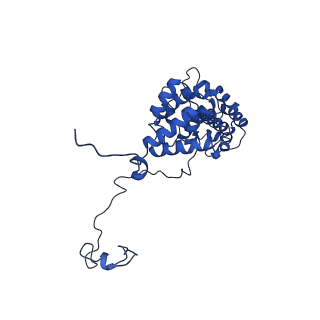 0233_6hiz_DJ_v1-1
Cryo-EM structure of the Trypanosoma brucei mitochondrial ribosome - This entry contains the head of the small mitoribosomal subunit