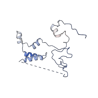0233_6hiz_DL_v1-1
Cryo-EM structure of the Trypanosoma brucei mitochondrial ribosome - This entry contains the head of the small mitoribosomal subunit