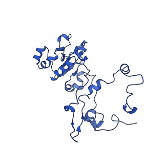 0233_6hiz_DT_v1-1
Cryo-EM structure of the Trypanosoma brucei mitochondrial ribosome - This entry contains the head of the small mitoribosomal subunit