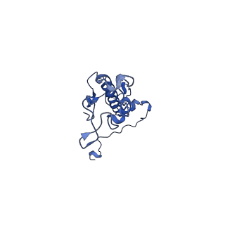 0233_6hiz_DV_v1-1
Cryo-EM structure of the Trypanosoma brucei mitochondrial ribosome - This entry contains the head of the small mitoribosomal subunit