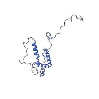 0233_6hiz_DW_v1-1
Cryo-EM structure of the Trypanosoma brucei mitochondrial ribosome - This entry contains the head of the small mitoribosomal subunit