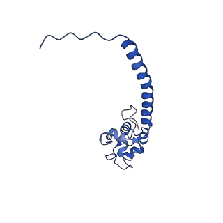 0233_6hiz_DX_v1-1
Cryo-EM structure of the Trypanosoma brucei mitochondrial ribosome - This entry contains the head of the small mitoribosomal subunit