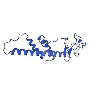 0233_6hiz_DY_v1-1
Cryo-EM structure of the Trypanosoma brucei mitochondrial ribosome - This entry contains the head of the small mitoribosomal subunit
