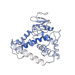 34809_8hi1_C_v1-1
Streptococcus thermophilus Cas1-Cas2- prespacer ternary complex