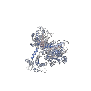 34812_8hi4_A_v1-3
Cryo-EM structure of the bi-functional malonyl-CoA reductase from Roseiflexus castenholzii