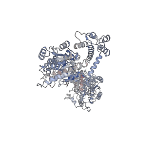 34812_8hi4_B_v1-3
Cryo-EM structure of the bi-functional malonyl-CoA reductase from Roseiflexus castenholzii
