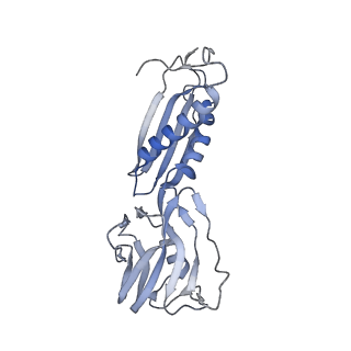 34816_8hih_B_v1-0
Cryo-EM structure of Mycobacterium tuberculosis transcription initiation complex with transcription factor GlnR