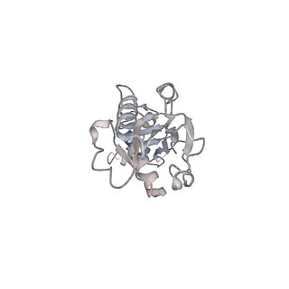 34816_8hih_O_v1-0
Cryo-EM structure of Mycobacterium tuberculosis transcription initiation complex with transcription factor GlnR