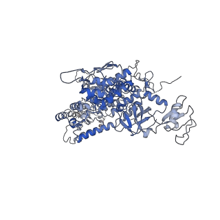 34820_8hil_A_v1-1
A cryo-EM structure of B. oleracea RNA polymerase V at 3.57 Angstrom