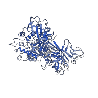 34820_8hil_B_v1-1
A cryo-EM structure of B. oleracea RNA polymerase V at 3.57 Angstrom