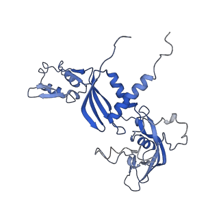 34820_8hil_C_v1-1
A cryo-EM structure of B. oleracea RNA polymerase V at 3.57 Angstrom