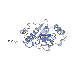 34820_8hil_E_v1-1
A cryo-EM structure of B. oleracea RNA polymerase V at 3.57 Angstrom