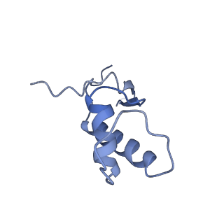 34820_8hil_F_v1-1
A cryo-EM structure of B. oleracea RNA polymerase V at 3.57 Angstrom
