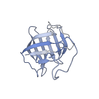 34820_8hil_H_v1-1
A cryo-EM structure of B. oleracea RNA polymerase V at 3.57 Angstrom