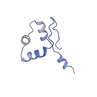 34820_8hil_J_v1-1
A cryo-EM structure of B. oleracea RNA polymerase V at 3.57 Angstrom