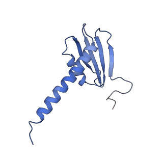 34820_8hil_K_v1-1
A cryo-EM structure of B. oleracea RNA polymerase V at 3.57 Angstrom