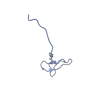 34820_8hil_L_v1-1
A cryo-EM structure of B. oleracea RNA polymerase V at 3.57 Angstrom