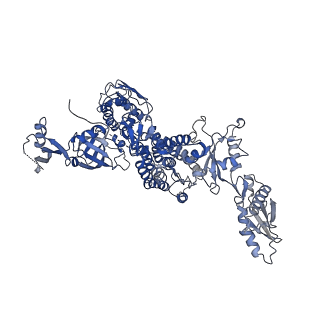 34821_8him_A_v1-1
A cryo-EM structure of B. oleracea RNA polymerase V elongation complex at 2.73 Angstrom