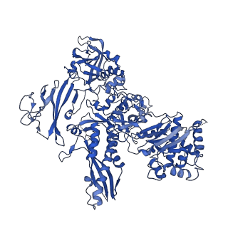 34821_8him_B_v1-1
A cryo-EM structure of B. oleracea RNA polymerase V elongation complex at 2.73 Angstrom