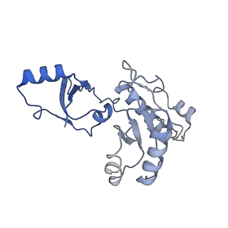 34821_8him_E_v1-1
A cryo-EM structure of B. oleracea RNA polymerase V elongation complex at 2.73 Angstrom