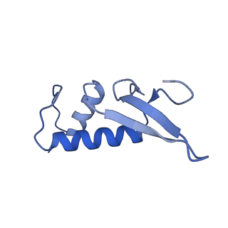 34821_8him_F_v1-1
A cryo-EM structure of B. oleracea RNA polymerase V elongation complex at 2.73 Angstrom