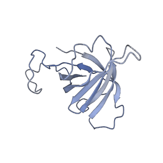 34821_8him_H_v1-1
A cryo-EM structure of B. oleracea RNA polymerase V elongation complex at 2.73 Angstrom
