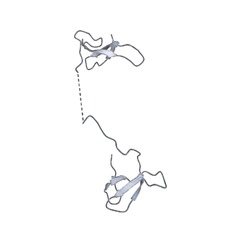 34821_8him_I_v1-1
A cryo-EM structure of B. oleracea RNA polymerase V elongation complex at 2.73 Angstrom