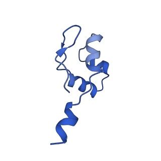 34821_8him_J_v1-1
A cryo-EM structure of B. oleracea RNA polymerase V elongation complex at 2.73 Angstrom
