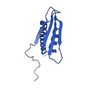 34821_8him_K_v1-1
A cryo-EM structure of B. oleracea RNA polymerase V elongation complex at 2.73 Angstrom