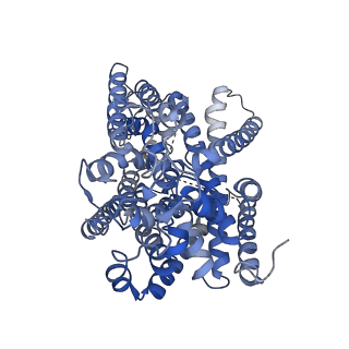 34823_8hin_A_v1-2
Structure of human SGLT2-MAP17 complex with Phlorizin